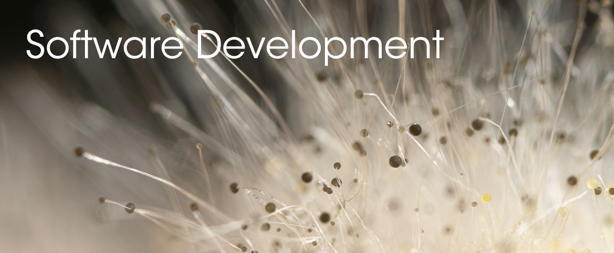Software Development